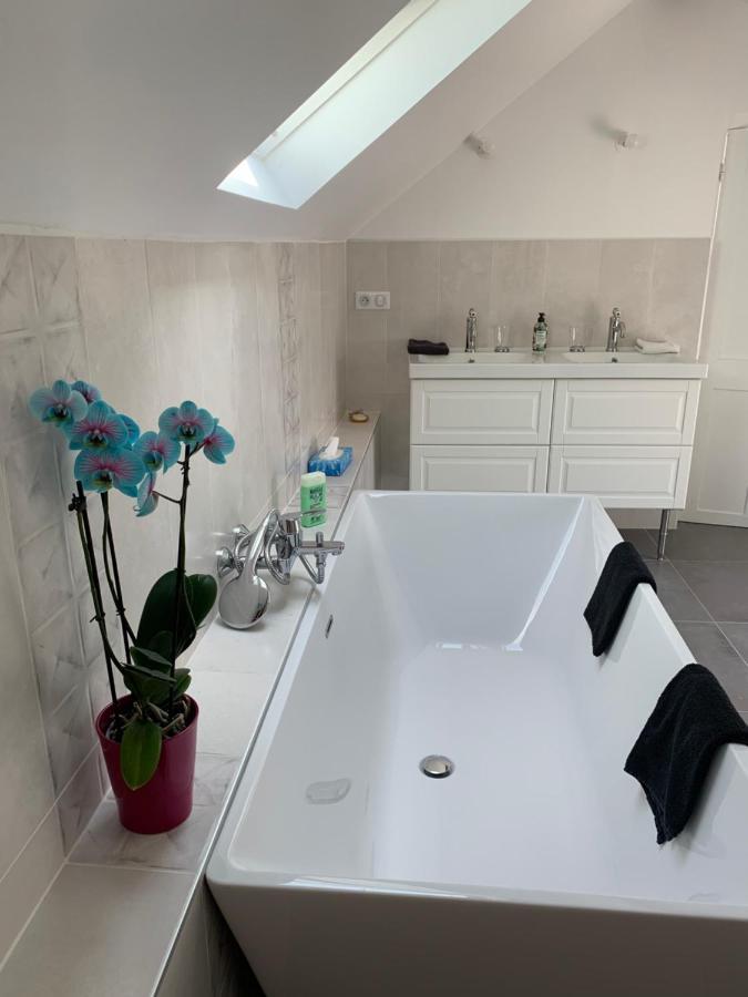 Le Moulin Bleu Bed & Breakfast Saint Cyr-sous-Dourdan Bagian luar foto