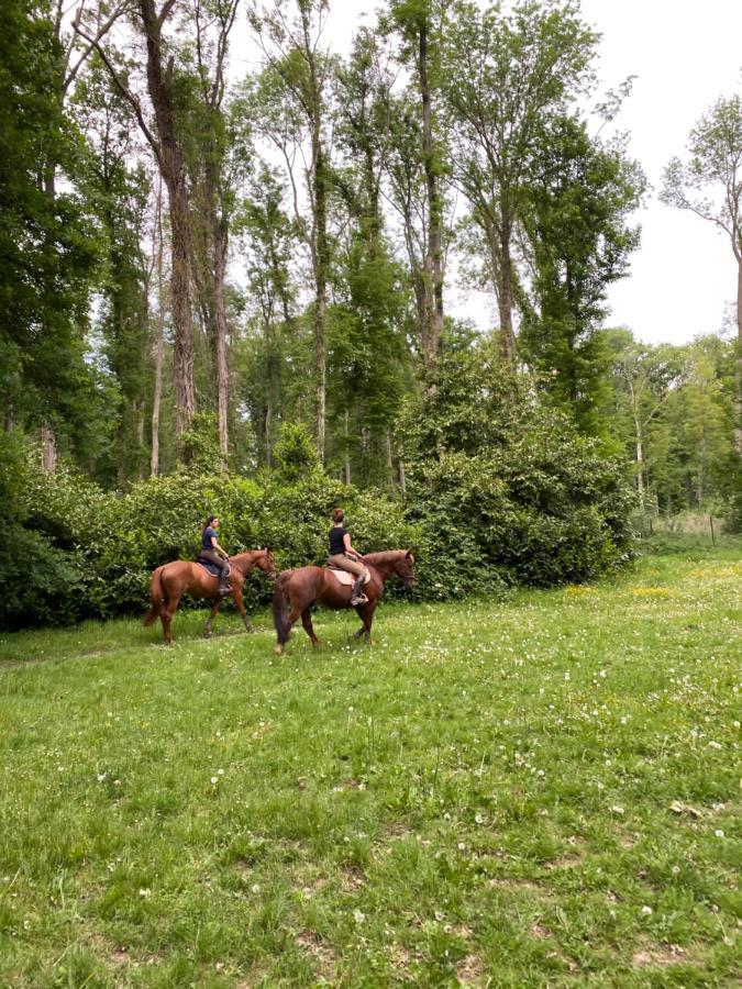 Le Moulin Bleu Bed & Breakfast Saint Cyr-sous-Dourdan Bagian luar foto